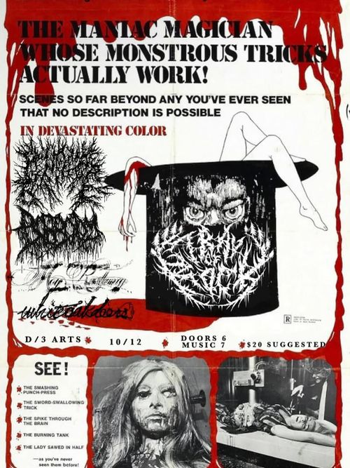 Penguin In Bondage, Bogbody, Tray of Rock, White Oak Doors