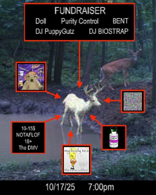 Doll, Purity Control, Bent, DJ PuppyGutz, DJ BIOSTRAP