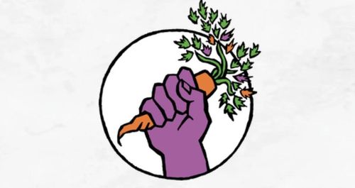 Denver Food Not Bombs - weekly distros